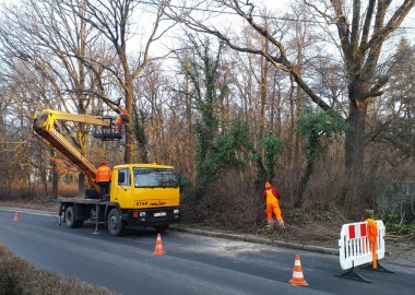 Przycinanie gałęzi przy drodze powiatowej