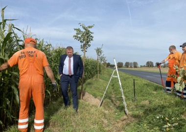 Starosta Jarosław Wawrzyniak z pracownikami ZDP Leszno przy sadzeniu lip przy drodze Krzemieniewo - Oporówko