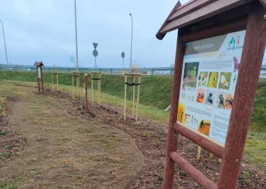 Powiatowy Węzeł Rowerowy "Święciechowa"