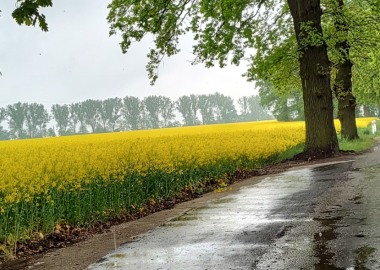 Zbudowana zatoka na drodze Długie Stare - Trzebiny