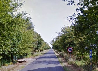 Ul. Mórkowska w Wilkowicach