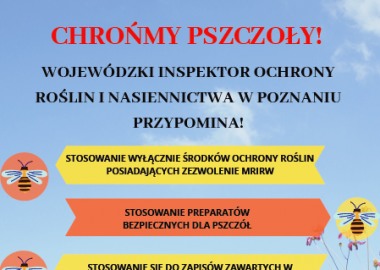 Plakat obrazujący tekst