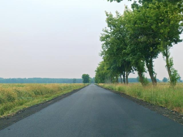 P6241944 1