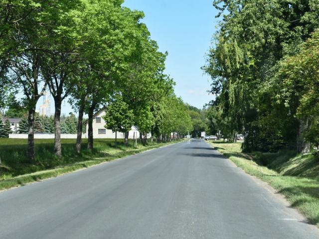 Dsc 0251