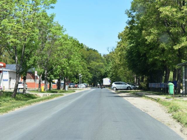 Dsc 0252